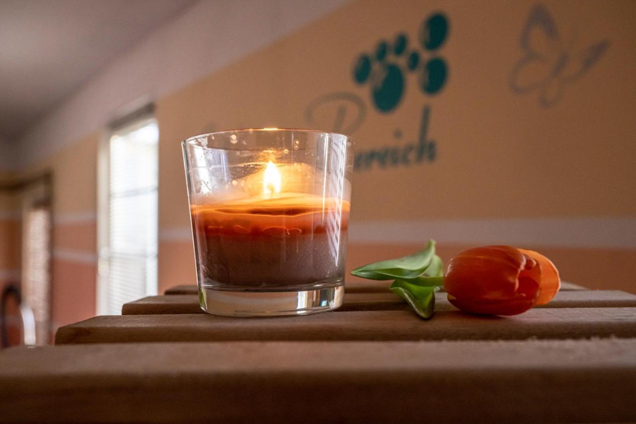 Sporthotel Glueck Auf Moenchenfrei Brand-Erbisdorf ภายนอก รูปภาพ